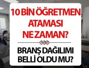 2025 Öğretmen Ataması Detayları ve Kontenjan Bilgileri Güncel