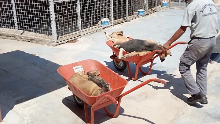 Olayın Detayları ve Tepkiler