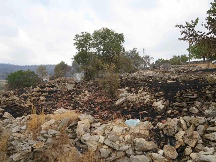 Araç’taki Orman Yangınları Büyük Ölçüde Kontrol Altına Alındı