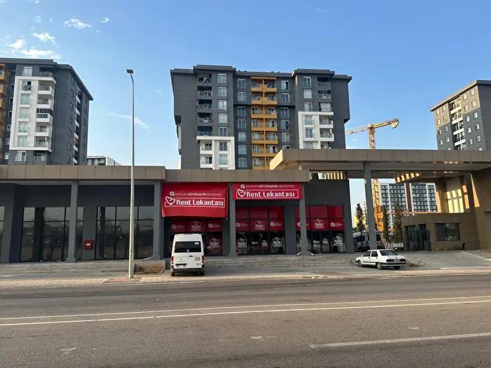 Para Transferleri ve Nakit Geri Çekimleri