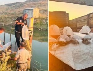Bitlis’te Su Kaynaklarına Önemli Balıklandırma Çalışması