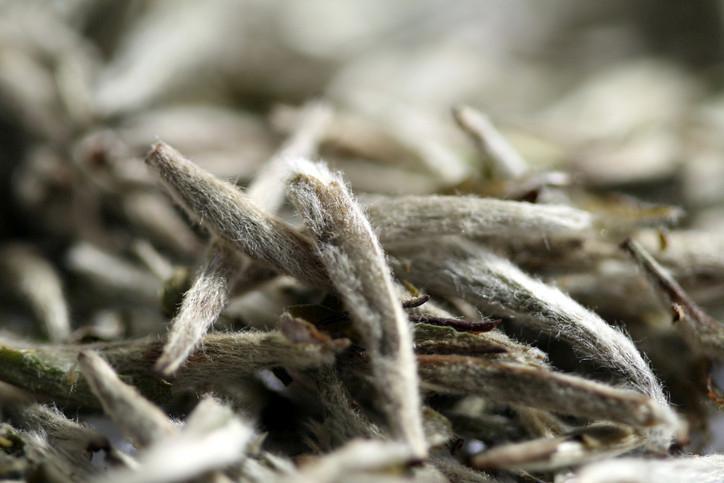 Çay Türleri ve Sağlığa Etkileri Hakkında Bilmeniz Gerekenler