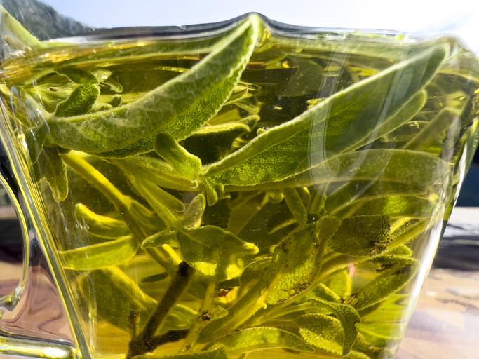 Çay Türleri ve Sağlığa Etkileri Hakkında Bilmeniz Gerekenler