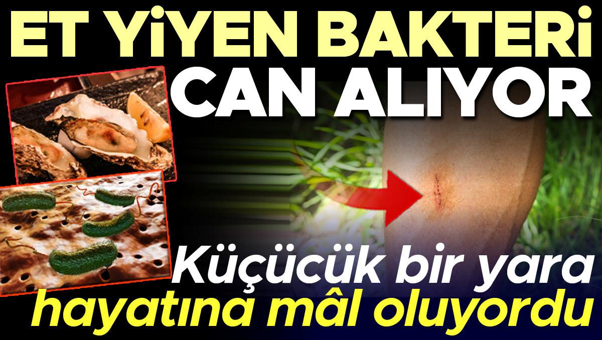Vibrio Bakterisinin Yayılımı ve Artış Oranları