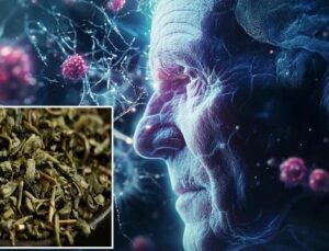 Dünya Demans ve Alzheimer Artışını Neden Bu Kadar Ciddiye Alıyor?
