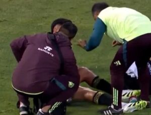 Edson Alvarez’in Sakatlığı Sarı-Lacivertli Taraftarları Endişelendirdi