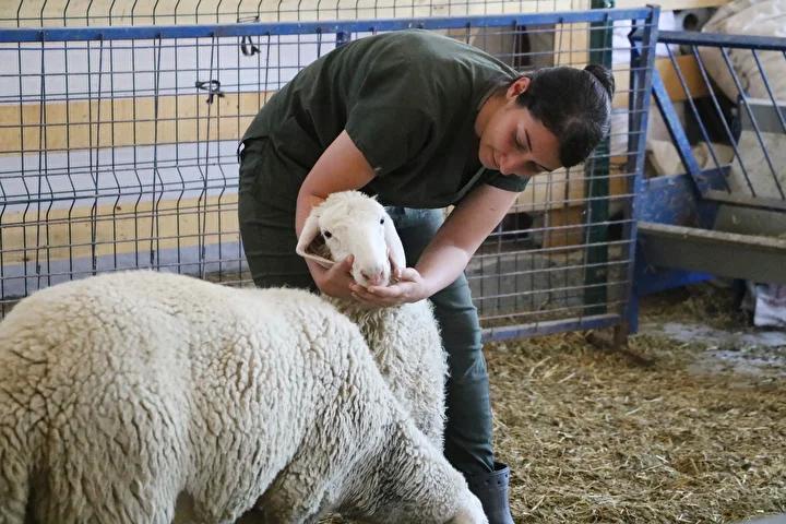 Bölge ve Kendi Hikayesini Anlatıyor