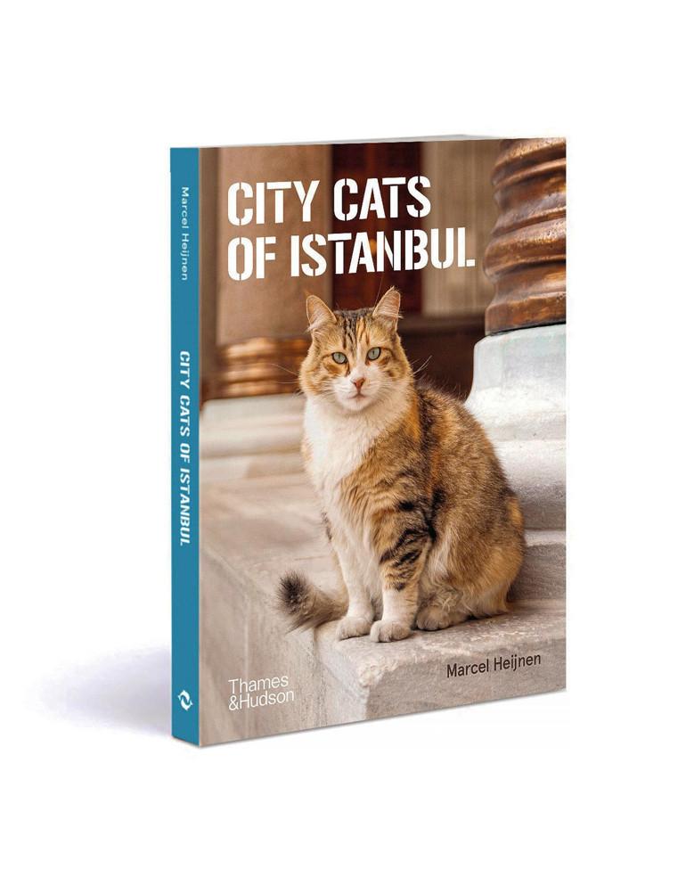 Kitabın Yaratılış Süreci ve Albüm Sergisi