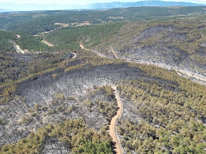 Karabük'te Yangınla Mücadele ve Son Durum