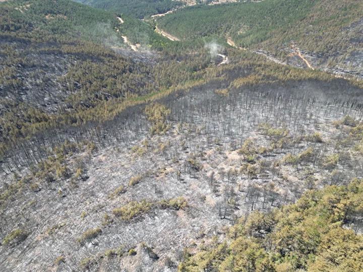 Kastamonu ve Karabük'te Orman Yangınlarına Anında Müdahale Çabaları