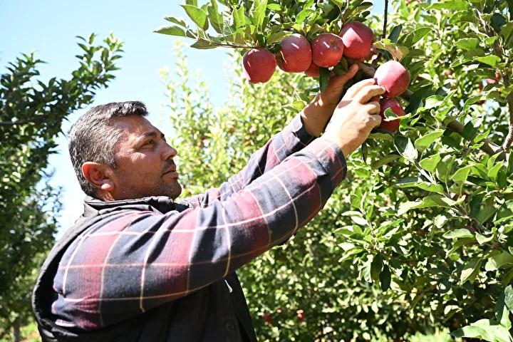 Sistemin İşleyişi ve Çiftçilerin Deneyimleri
