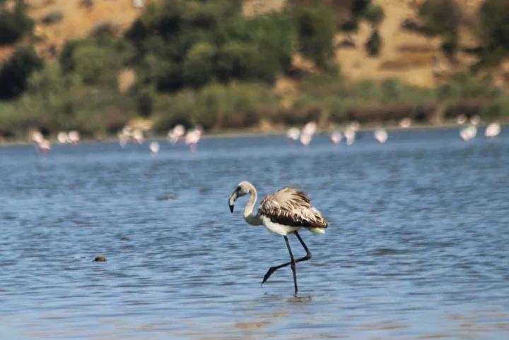 Doğa ile Buluşma