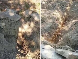 Mezarlıkta Ayı Panik Yaratan Olaylara Sebep Oldu