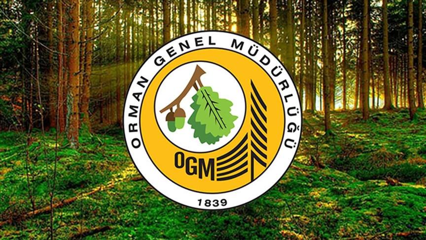 Orman Genel Müdürlüğü'nden 262 Kamu İşçisi Alımı Detayları