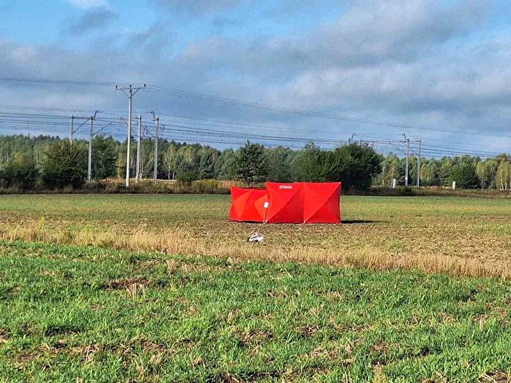 Polonya'nın Güvenlik Müdahalesi ve Uluslararası Destek