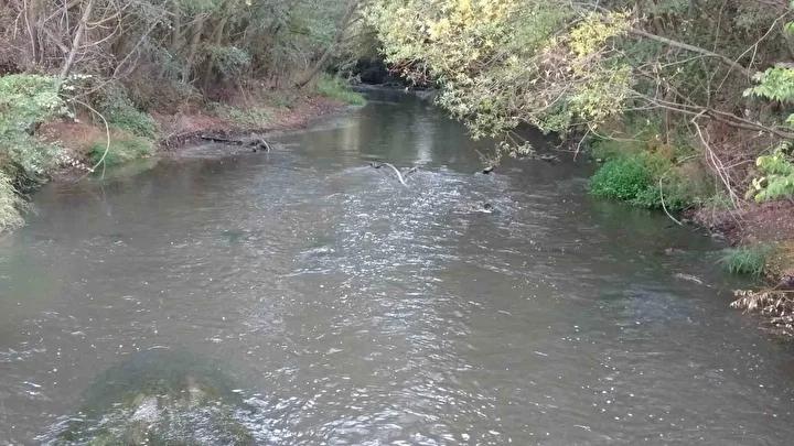 Porsuk Çayı Kirliliği ve Mahalle Halkının Endişeleri