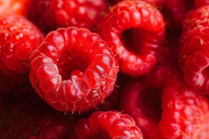 Sağlıklı Beslenme İçin Yeterli ve Dengeli Protein ile Lif Alımı Rehberi