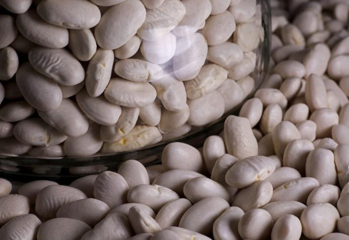 Sağlıklı Beslenme İçin Yeterli ve Dengeli Protein ile Lif Alımı Rehberi