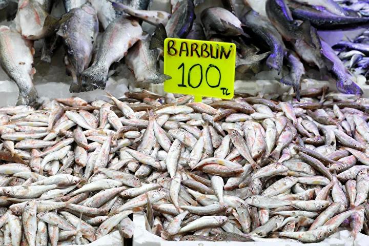 Balıkçılardan Güncel Durum ve Görüşler