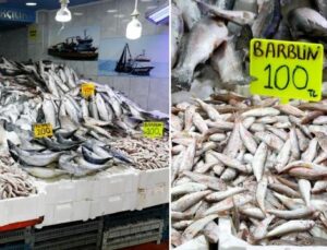Sahil Bölgelerinde Balık Çeşitleri Bol Dolaşıma Girdi
