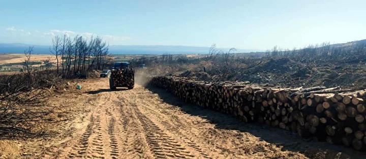 Şarköy’de Orman Yangını Sonrası Toplumsal Çalışmalar ve Yeniden Yapılanma Süreci