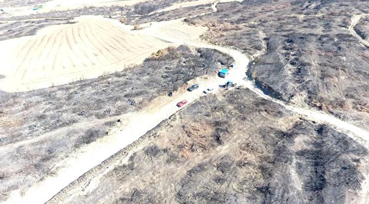 Şarköy’de Orman Yangını Sonrası Toplumsal Çalışmalar ve Yeniden Yapılanma Süreci