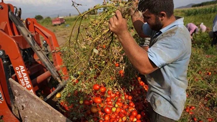 Üretimi Kolaylaştıran Altyapı Gelişmeleri