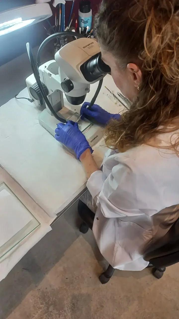 Eserlerin sergilenmesi ve gelecek vizyonu