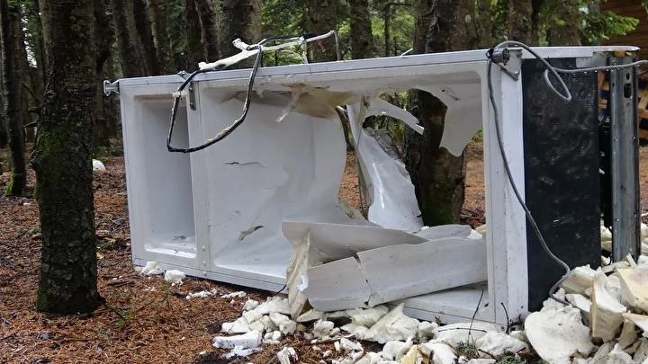 Uludağ’da Ayıların Baraka Hasarlarına Neden Olan Yiyecek Tüketimi