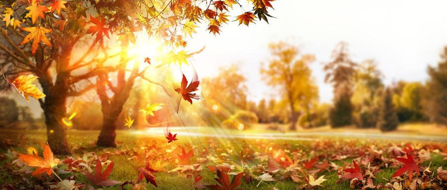 2025 Pastırma Yazlarının Takvimi ve Detayları 5 Pastırma Sıcaklarının Özellikleri