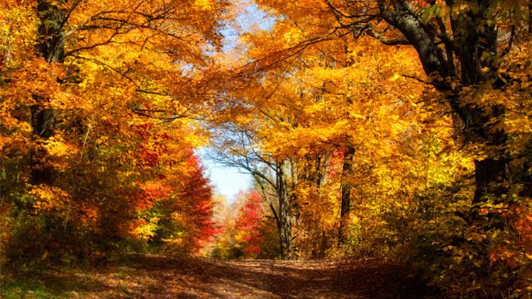 2025 Pastırma Yazlarının Takvimi ve Detayları 6 Pastırma Ayazı Nedir ve Nasıl Anlaşılır?