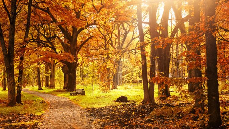 2025 Pastırma Yazlarının Takvimi ve Detayları 7 2025 Pastırma Yazlarının Takvimi ve Detayları