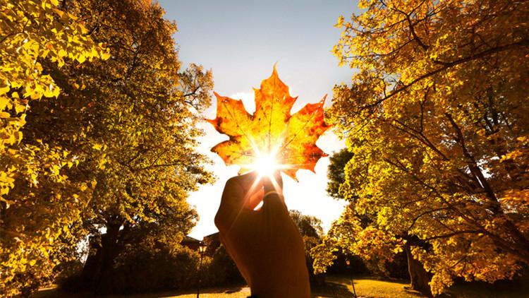 2025 Pastırma Yazlarının Takvimi ve Detayları 8 2025 Pastırma Yazlarının Takvimi ve Detayları