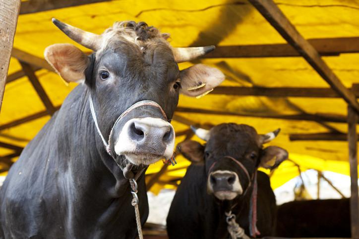 Arife Günü ve Resmi Tatil Günleri
