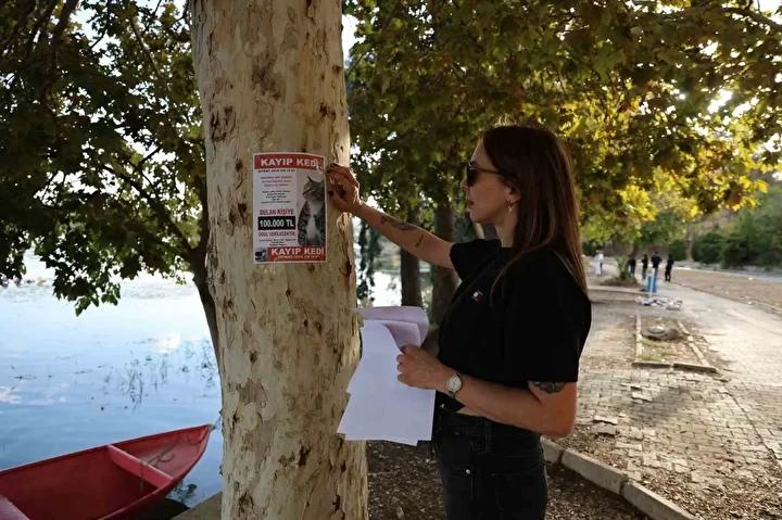 Adana'da Kaybolan Özel Sakat Kediyi Arama Kampanyası: 100 Bin Lira Ödüllü İlan