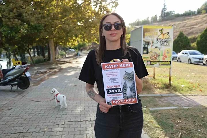 Adana'da Kaybolan Özel Sakat Kediyi Arama Kampanyası: 100 Bin Lira Ödüllü İlan