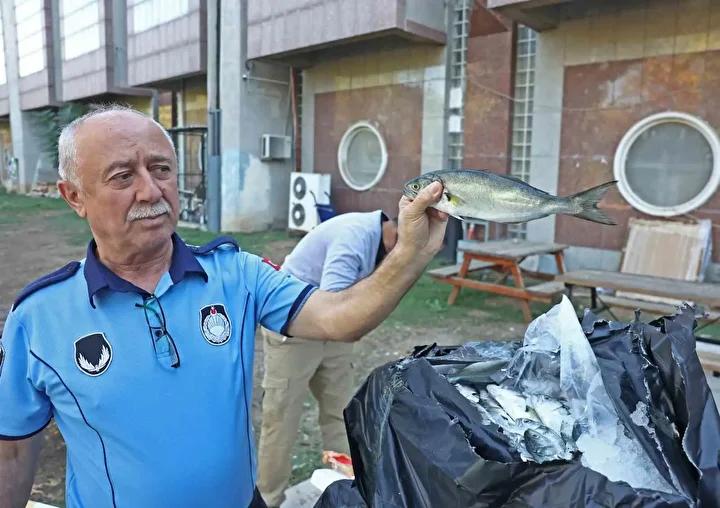 Antalya Terminalinde Kanunsuz Balık ve Hayvan Sevkiyatına Sıkı Denetim 1 Detaylı İnceleme ve Tespitler