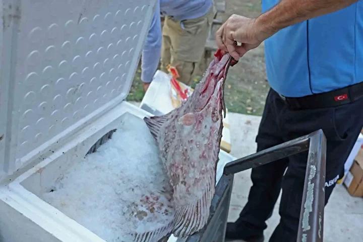 Antalya Terminalinde Kanunsuz Balık ve Hayvan Sevkiyatına Sıkı Denetim 2 Detaylı İnceleme ve Tespitler