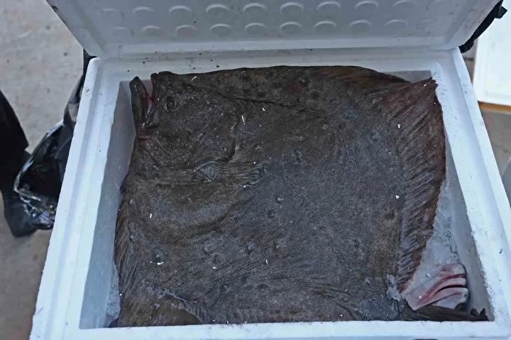 Antalya Terminalinde Kanunsuz Balık ve Hayvan Sevkiyatına Sıkı Denetim 4 Zabıta ve Yetkililerin Açıklamaları