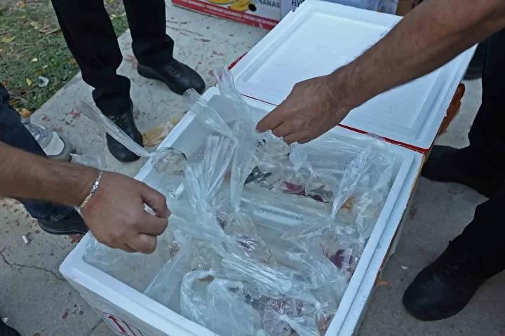 Antalya Terminalinde Kanunsuz Balık ve Hayvan Sevkiyatına Sıkı Denetim 6 Antalya Terminalinde Kanunsuz Balık ve Hayvan Sevkiyatına Sıkı Denetim