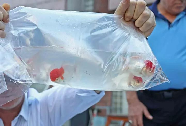 Antalya Terminalinde Kanunsuz Balık ve Hayvan Sevkiyatına Sıkı Denetim 7 Antalya Terminalinde Kanunsuz Balık ve Hayvan Sevkiyatına Sıkı Denetim