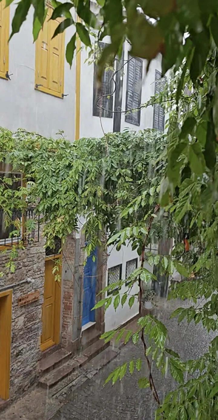 Ayvalık'ta Yağışın Tesirleri ve Güncel Durum Raporu