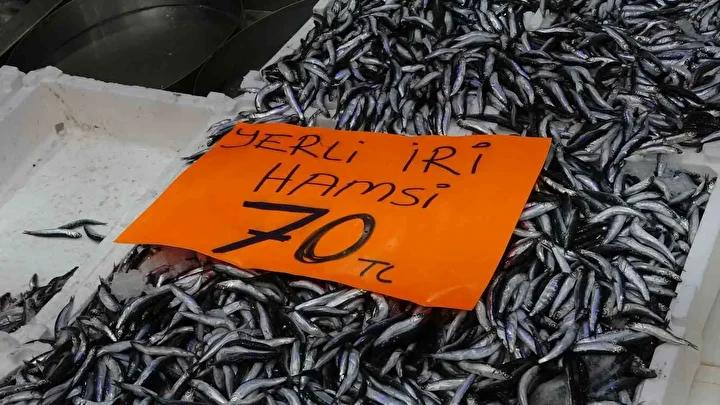 Balık Sezonunda Hamsi Boluğu Vatandaşın Yüzünü Güldürüyor