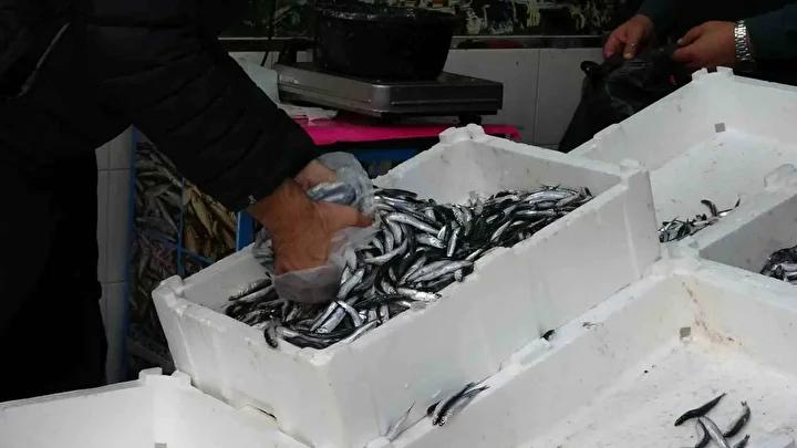 Balık Sezonunda Hamsi Boluğu Vatandaşın Yüzünü Güldürüyor