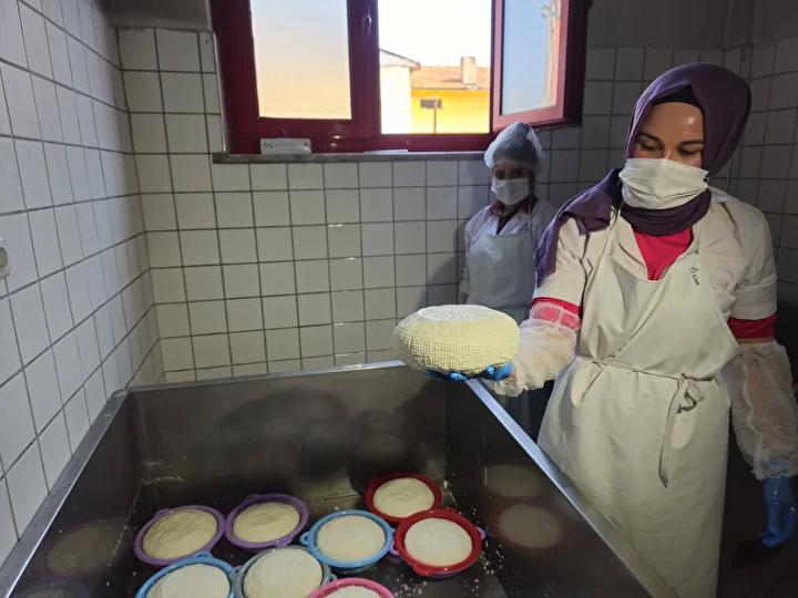 Balıkesir'de Kadın Girişimiyle Peynir Üretimi ve Ekonomik Canlanma