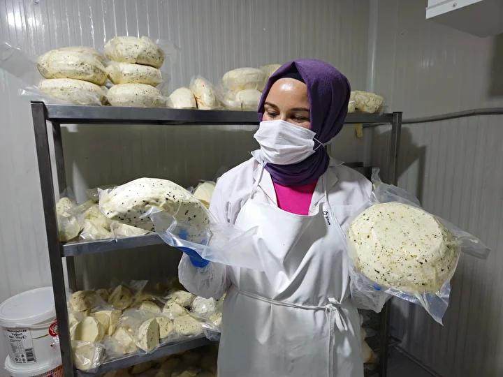 Balıkesir'de Kadın Girişimiyle Peynir Üretimi ve Ekonomik Canlanma