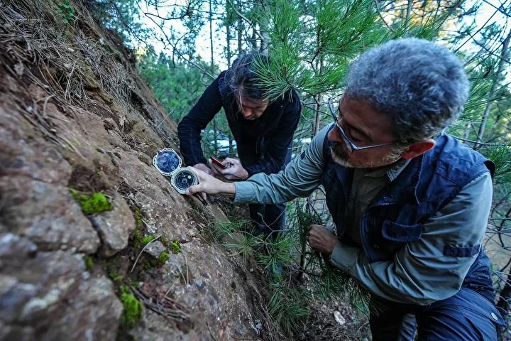 Balıkesir’de Yeni Fay Hatları Tespit Edildi ve Deprem Riski Değerlendirildi 4 Yorumlar ve Yeni Fay Hatlarının Önemi