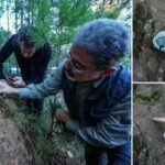Balikesirde Yeni Fay Hatlari Tespit Edildi ve Deprem Riski Degerlendirildi