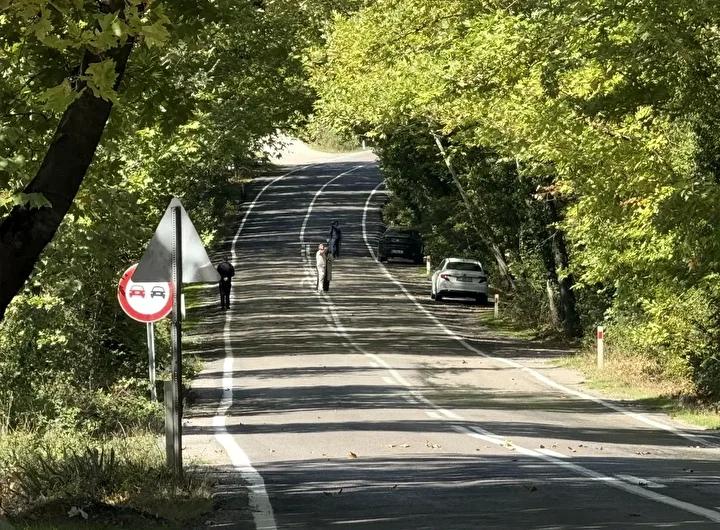 Bartın ve Karabük Yolu Üzerindeki Büyüleyici Ağaç Tünel Manzarası