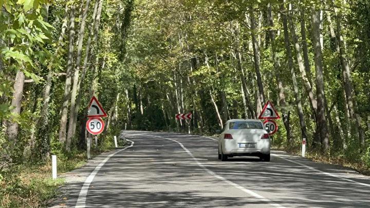 Bartın ve Karabük Yolu Üzerindeki Büyüleyici Ağaç Tünel Manzarası